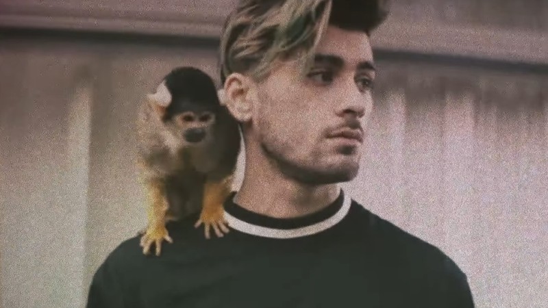 Zayn Malik em cena do clipe "Still Got Time" - Reprodução/Youtube