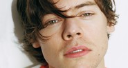 De ídolo de boy band a promissor astro solo: um ano na vida de Harry Styles - Theo Wenner