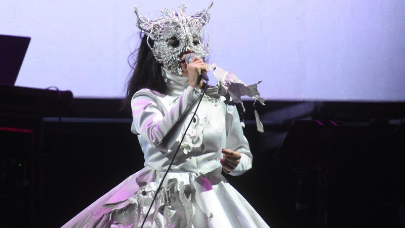 Björk  - Carlos Tischler/REX/Shutterstock