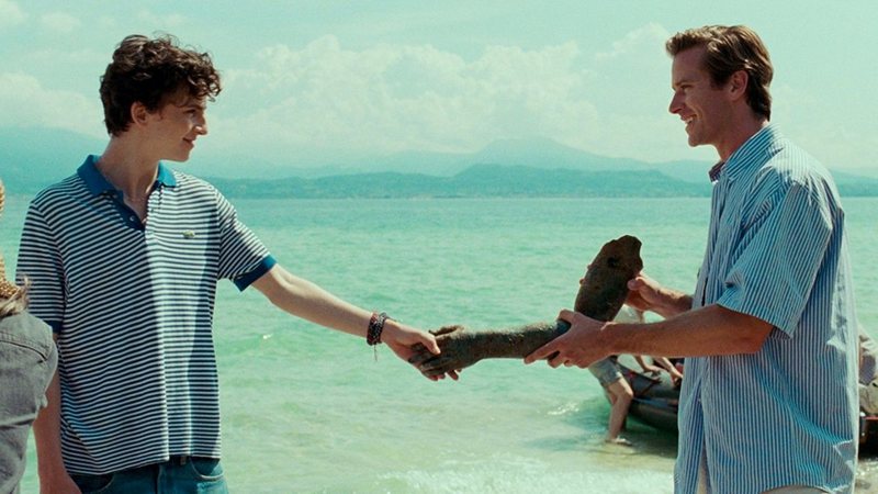 Elio (Timothée Chalamet) e Oliver (Armie Hammer) em Me Chame Pelo Seu Nome (Foto: Divulgação)