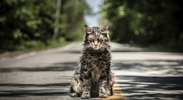 Gatinho Leo em Cemitério Maldito (Foto: Divulgação)