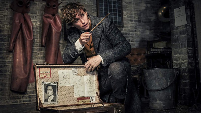 Newt Scamander (Eddie Redmayne), astro de Animais Fantásticos (Foto: Divulgação/Warner)