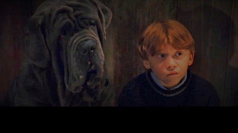 Rupert Grint como Ron Weasley em Harry Potter e a Pedra Filosofal (Foto: Reprodução)