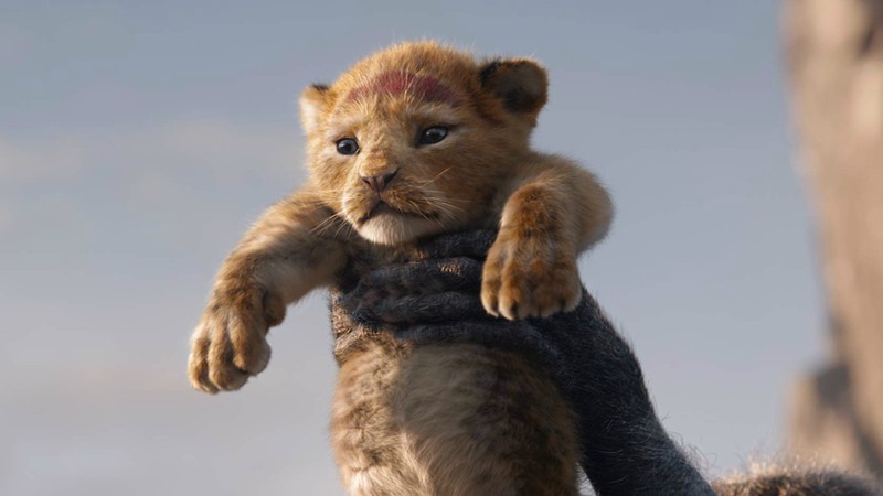 Simba no trailer de O Rei Leão (Foto:Reprodução)