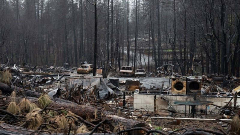 Paradise: Incêndios na Califórnia (Foto: Divulgação)