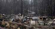 Paradise: Incêndios na Califórnia (Foto: Divulgação)