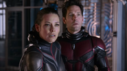 Paul Rudd e Evangeline Lilly em Homem-Formiga (Foto: Reprodução)