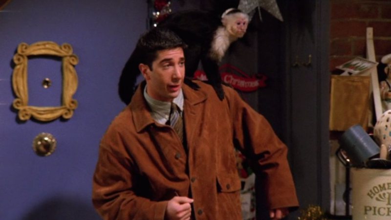 David Schwimmer com macaco Marcel em Friends (Foto: Reprodução)