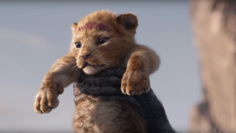 Simba no trailer de O Rei Leão (Foto:Reprodução)