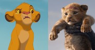 Simba em 1994 e em 2019 (Fotos: Divulgação)