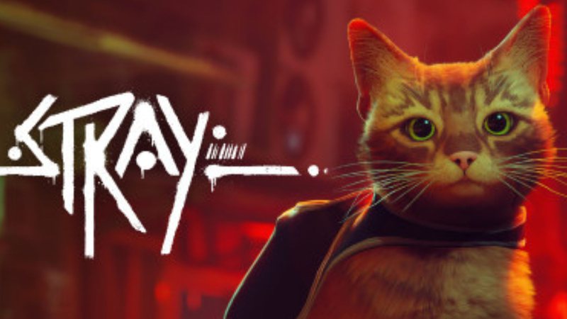 Stray (Divulgação)