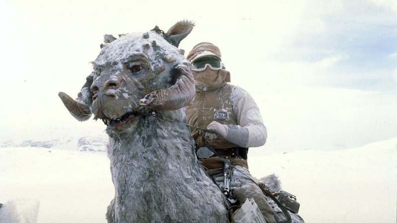 Luke Skywalker montado em um Tauntaun em Uma Nova Esperança (Foto: Reprodução/Site oficial Star Wars)