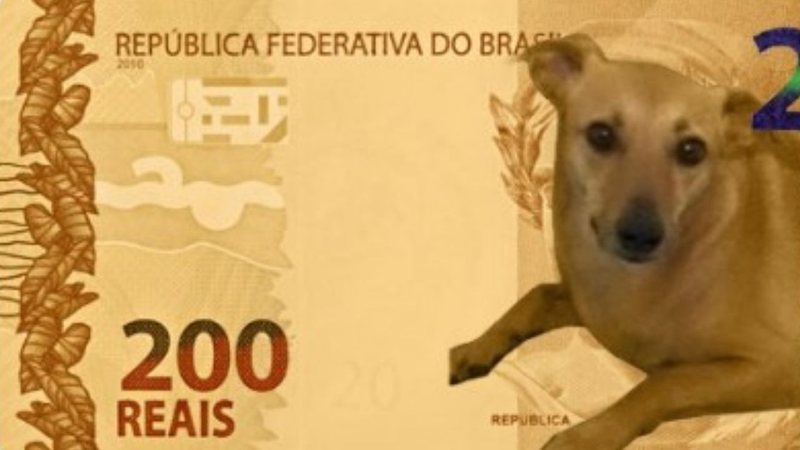 Meme do vira-lata caramelo na nota de R$200 (Foto: Reprodução/Twitter)