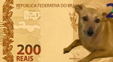 Meme do vira-lata caramelo na nota de R$200 (Foto: Reprodução/Twitter)