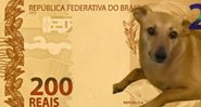 Meme do vira-lata caramelo na nota de R$200 (Foto: Reprodução/Twitter)