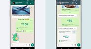 Whatsapp Pay (Foto: Divulgação)