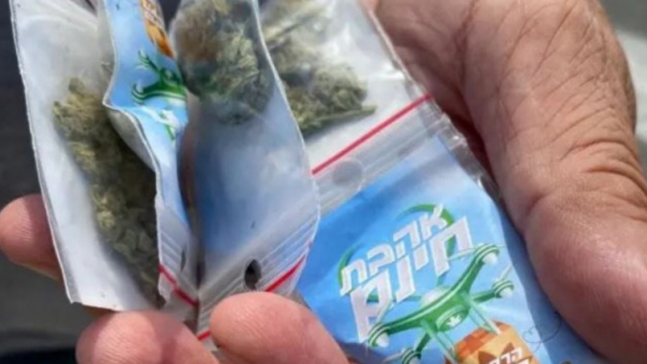 Maconha em Israel (Foto: AVSHALOM SASSONI/Reprodução/via CorreioBraziliense)