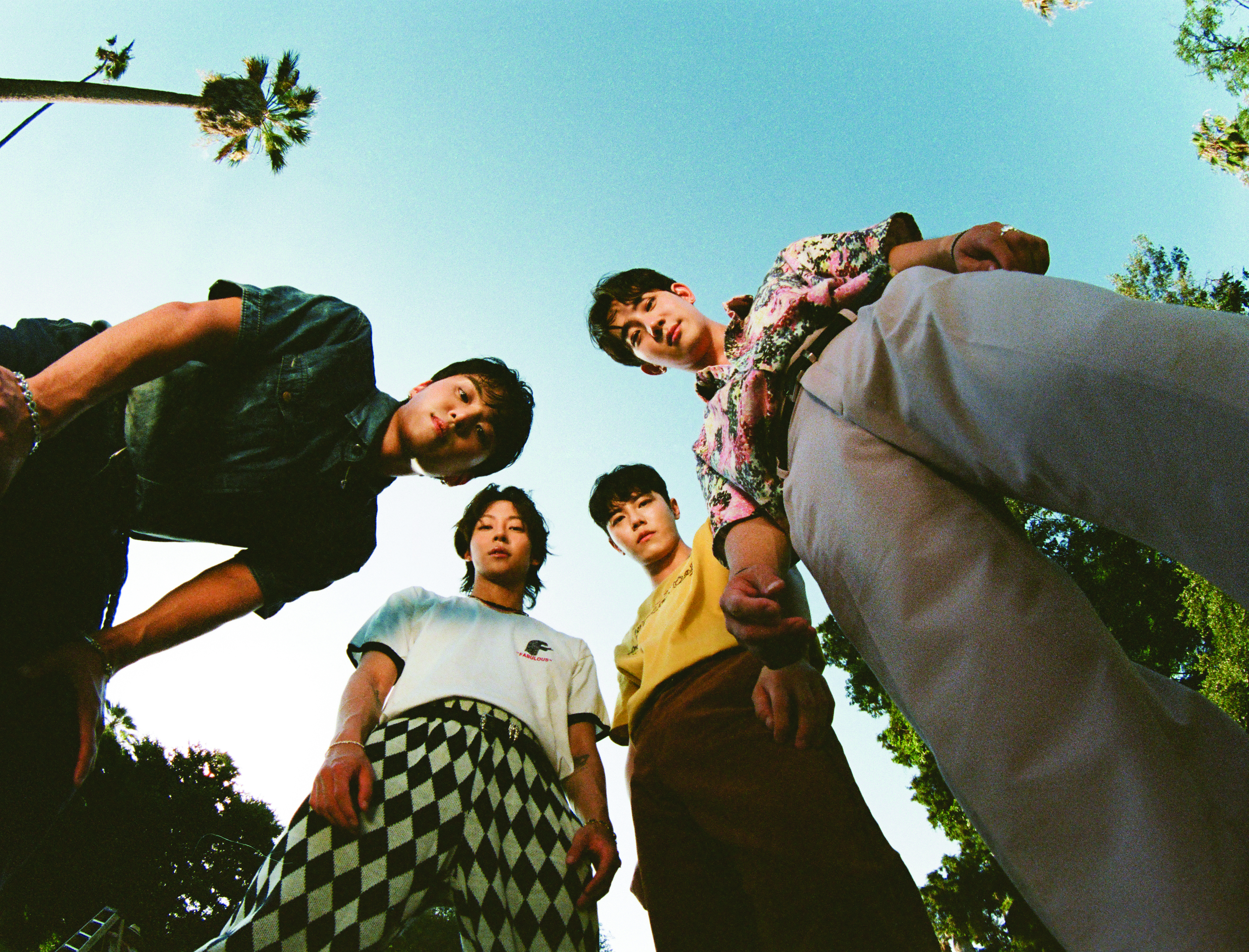 The Rose (Divulgação)