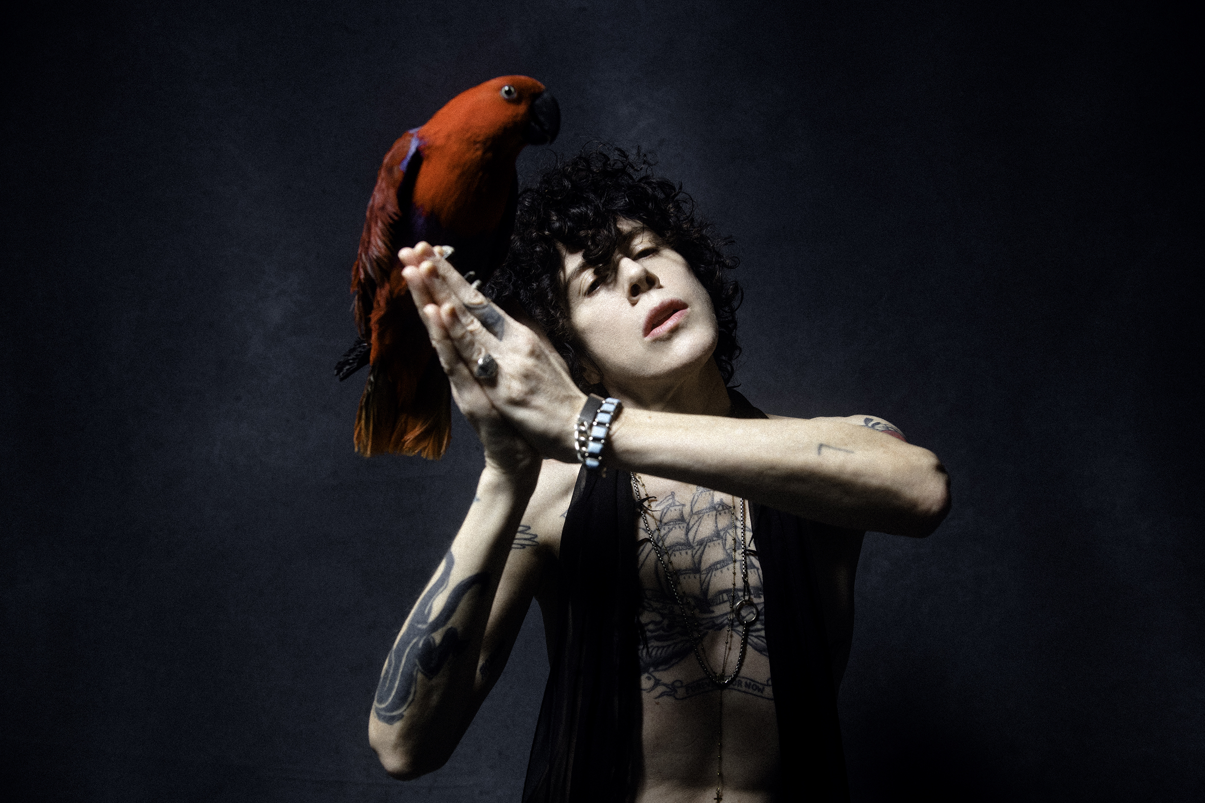 LP com um pássaro vermelho na cabeça.