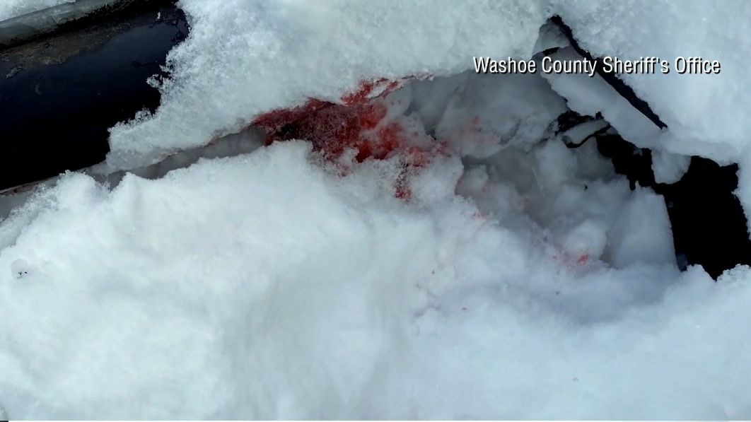 Acidente de Jeremy Renner (Foto: reprodução)