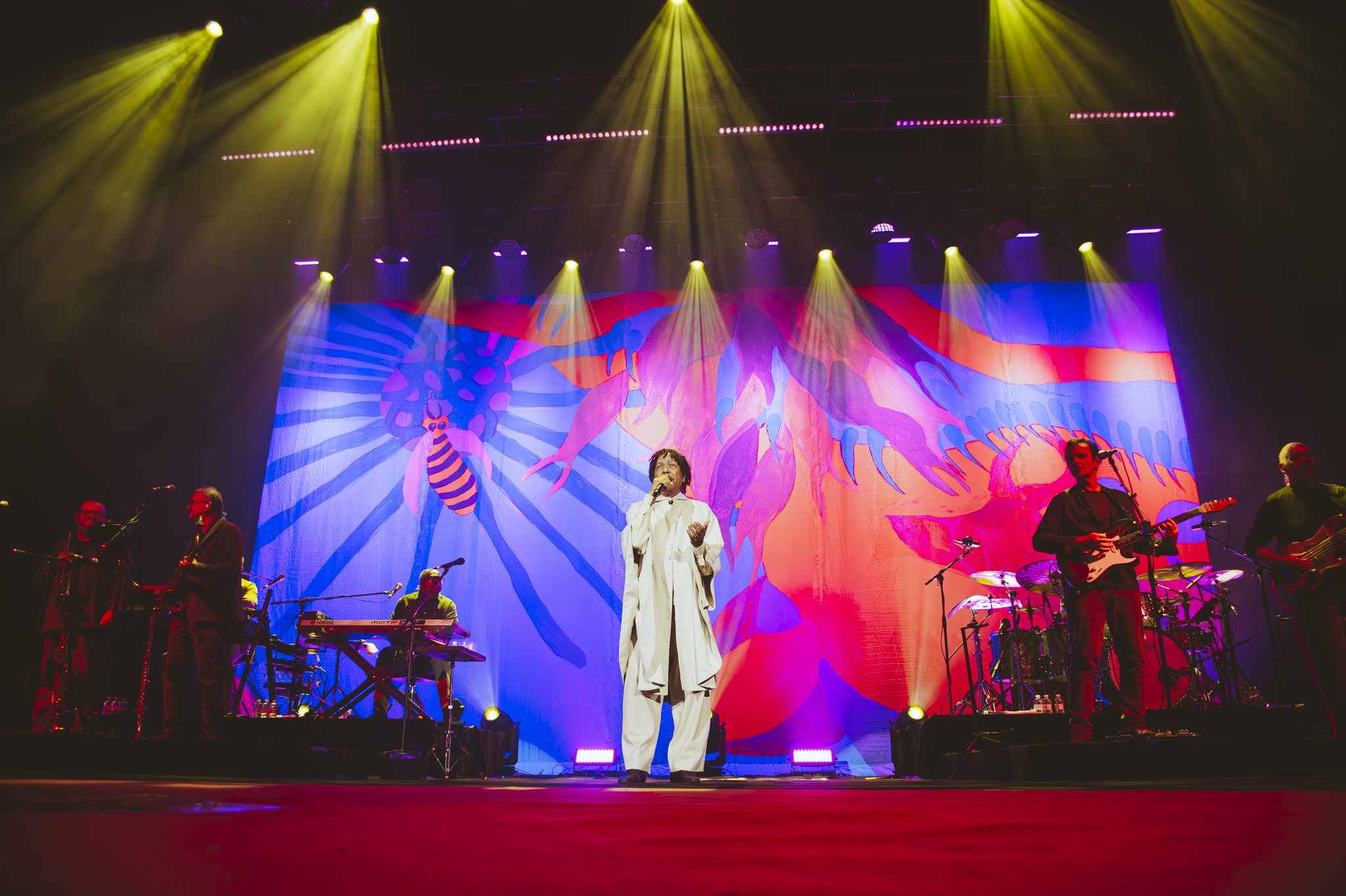Djavan durante a turnê 'D' (Foto:divulgação)