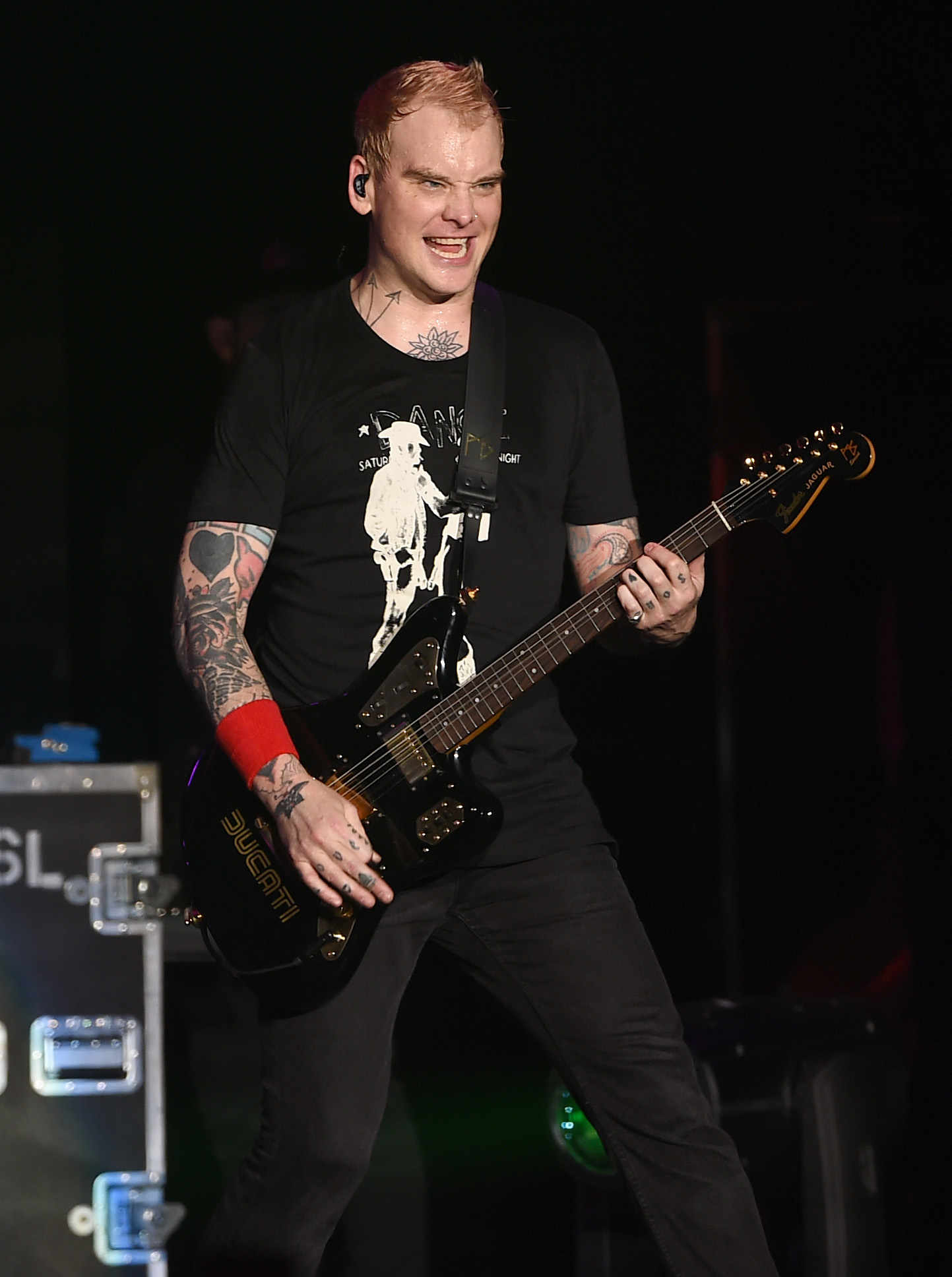 Matt Skiba (Getty Images)