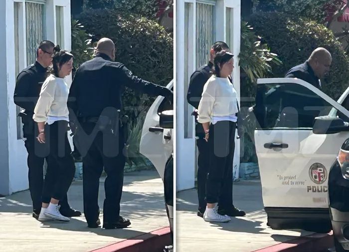 Amanda Bynes sedo escoltada pela polícia (Foto: TMZ)