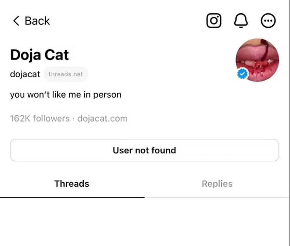 Perfil excluído de Doja Cat no Threads (Reprodução)