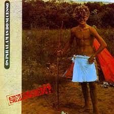 Os Paralamas do Sucesso, Selvagem?