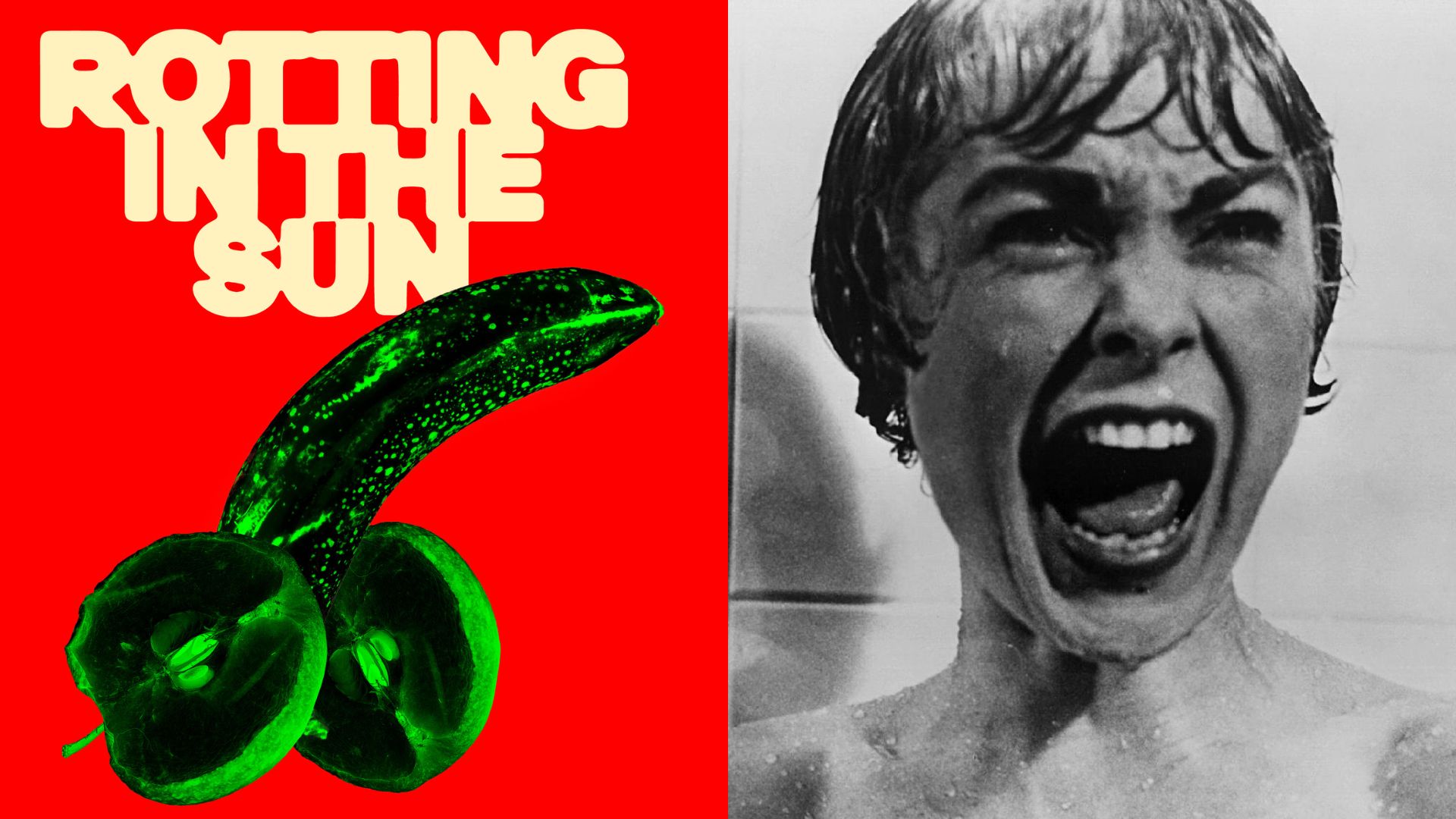 Pôster de 'Rotting in the Sun' (Foto: Divulgação) e Janet Leigh em cena de 'Psicose' (Foto: Reprodução)