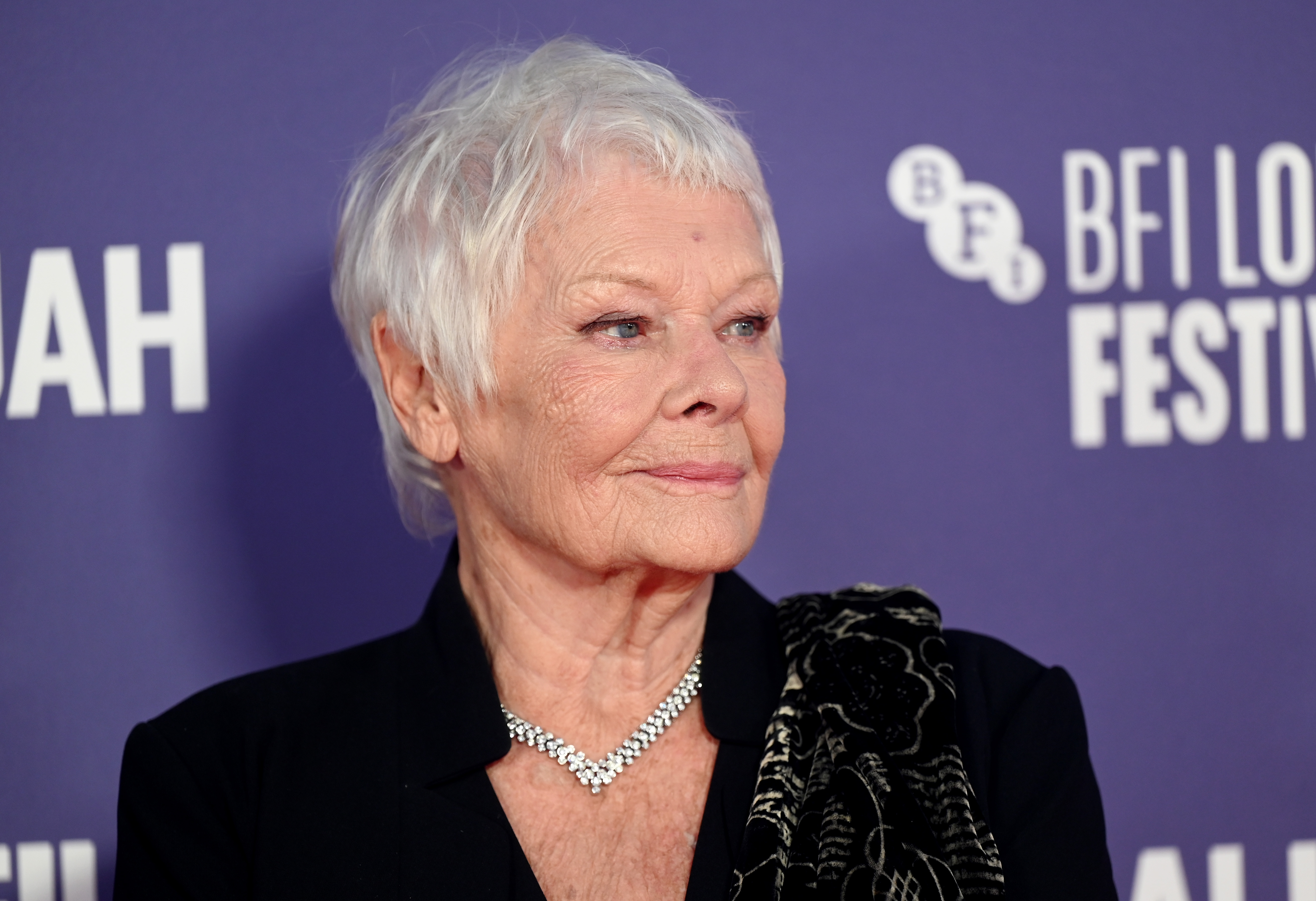 Judi Dench (Foto: Stuart C. Wilson/Getty Images)