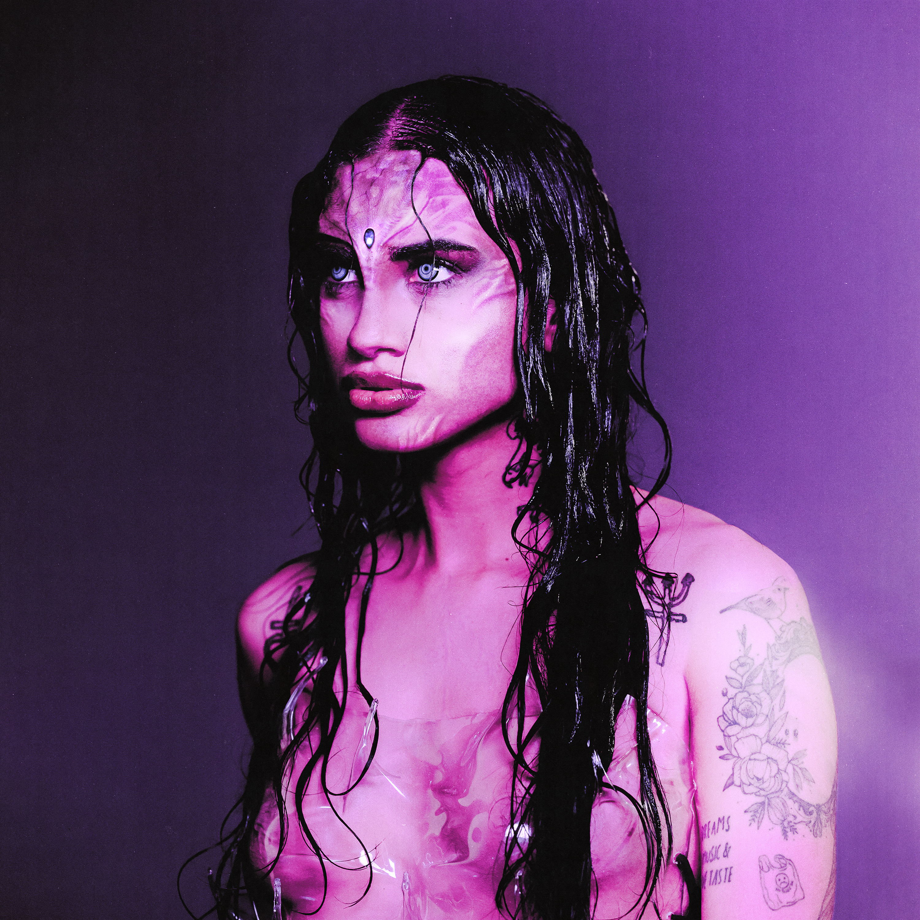 Day Limns em VÊNUS≠netuno (Kimberly Koeche)