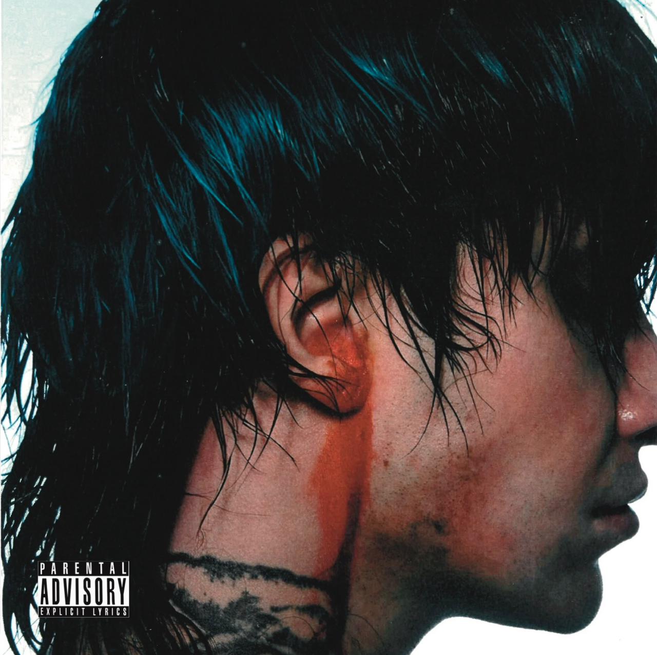 Capa de Alta Tensão, segundo disco de estúdio de Chameleo