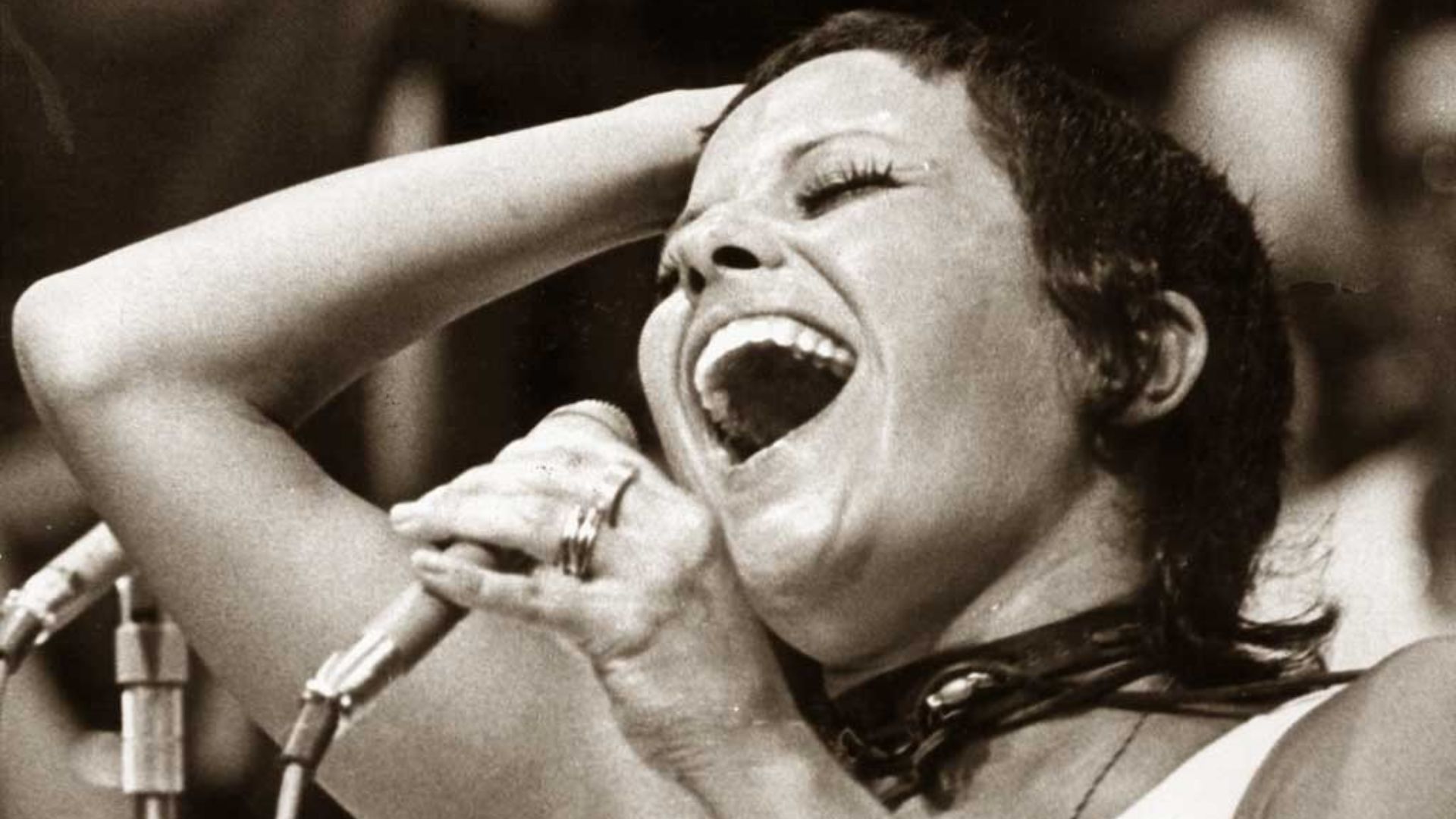 Elis Regina (Foto: Reprodução/Wikimedia Commons)