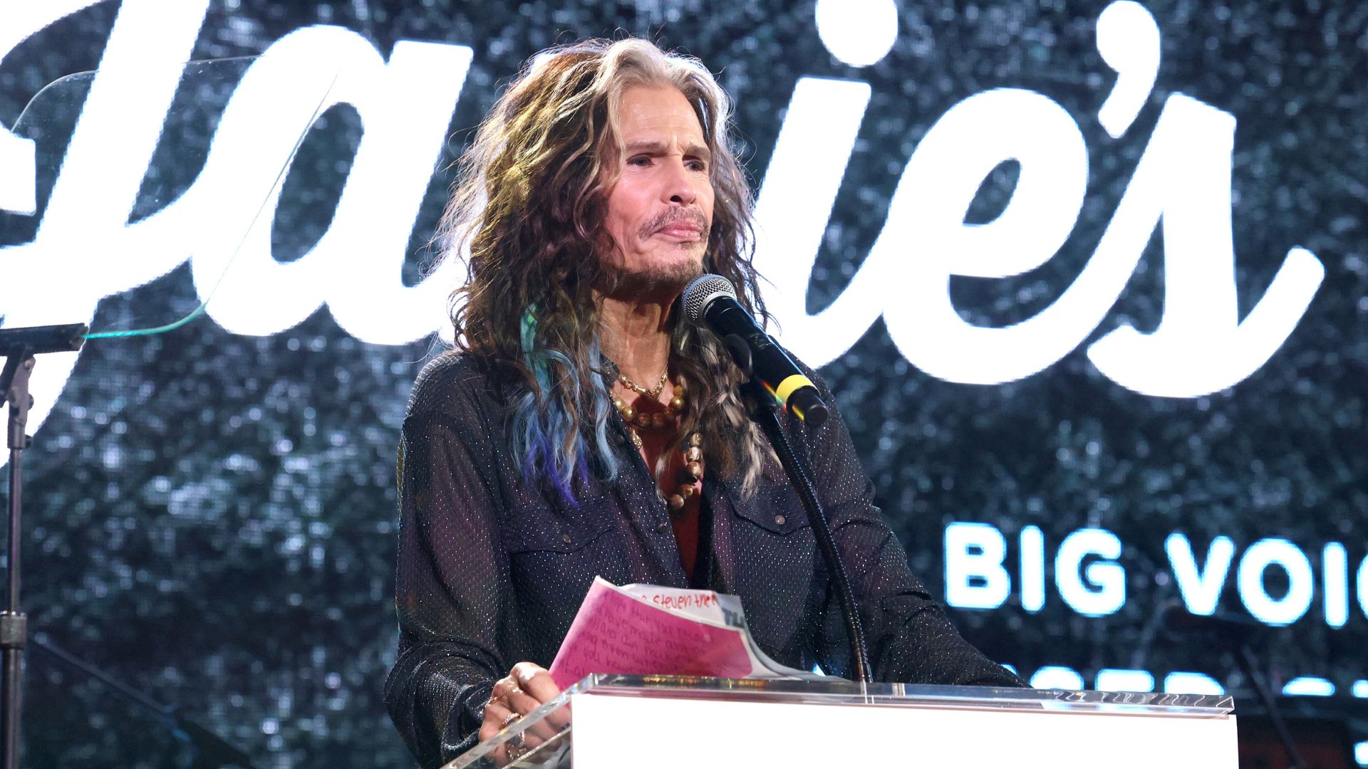 Steven Tyler (Foto: Jesse Grant/Getty Images for Janie's Fund)