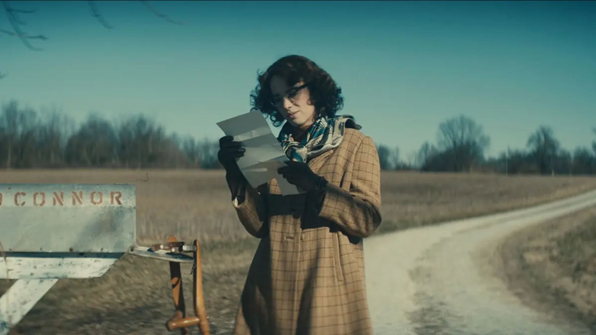 'Wildcat' (Foto: Reprodução)