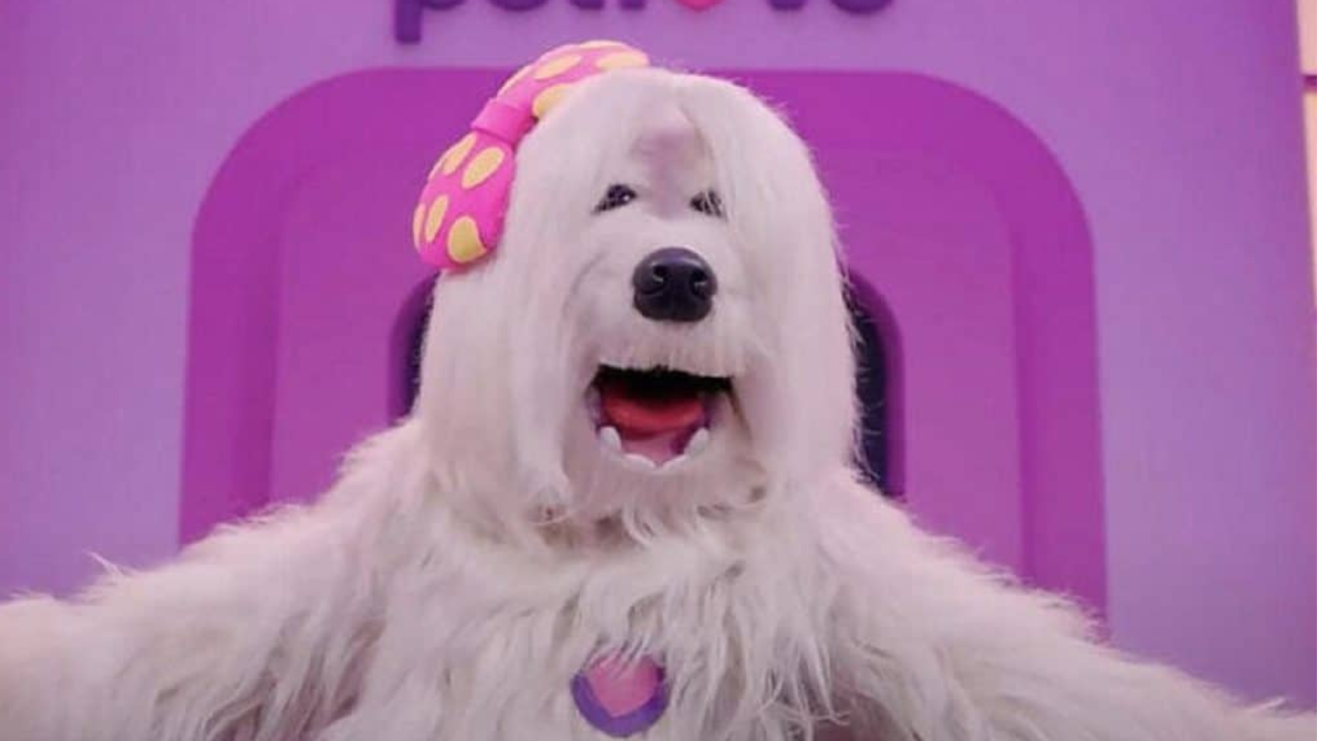 Tv Colosso: Divulgação