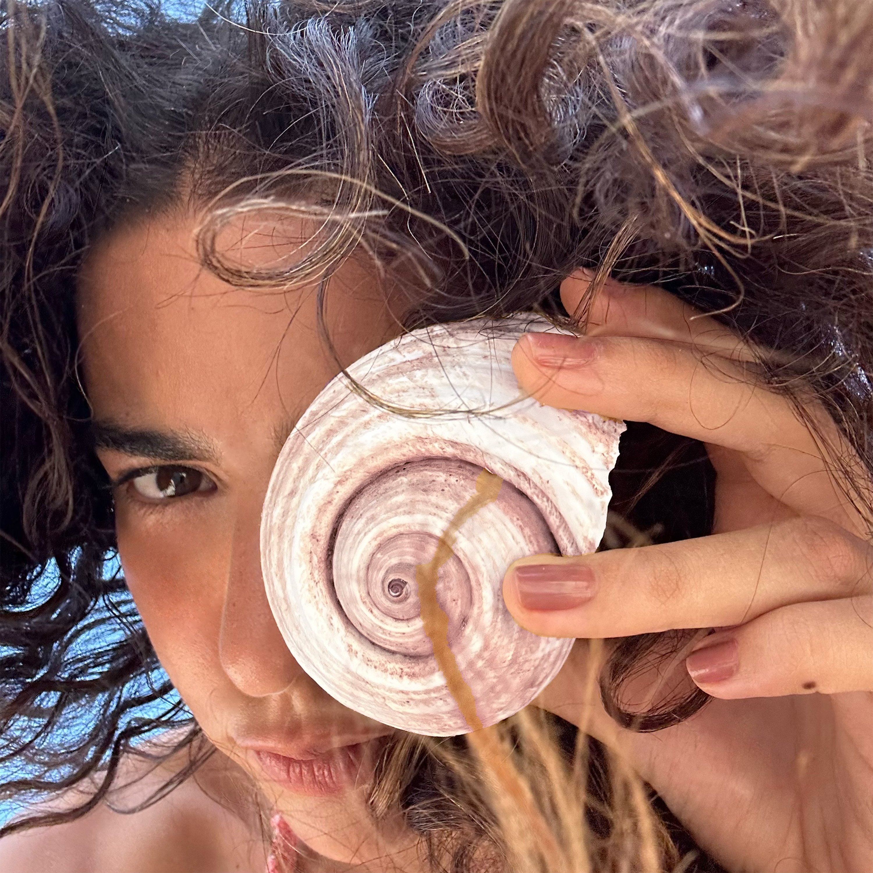 Capa alternativa de Vício Inerente