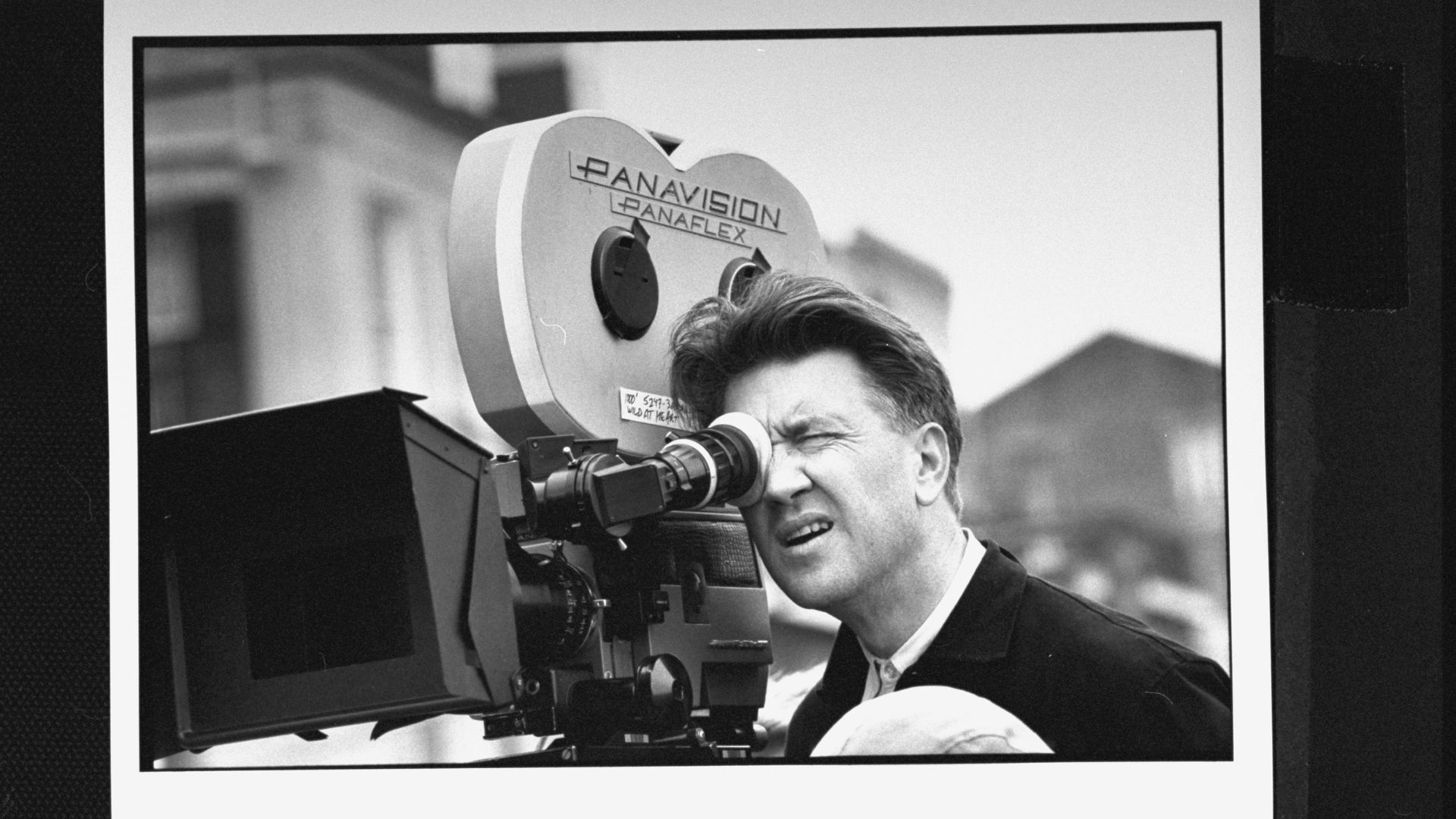 David Lynch (Foto: Acey Harper/Getty Images)