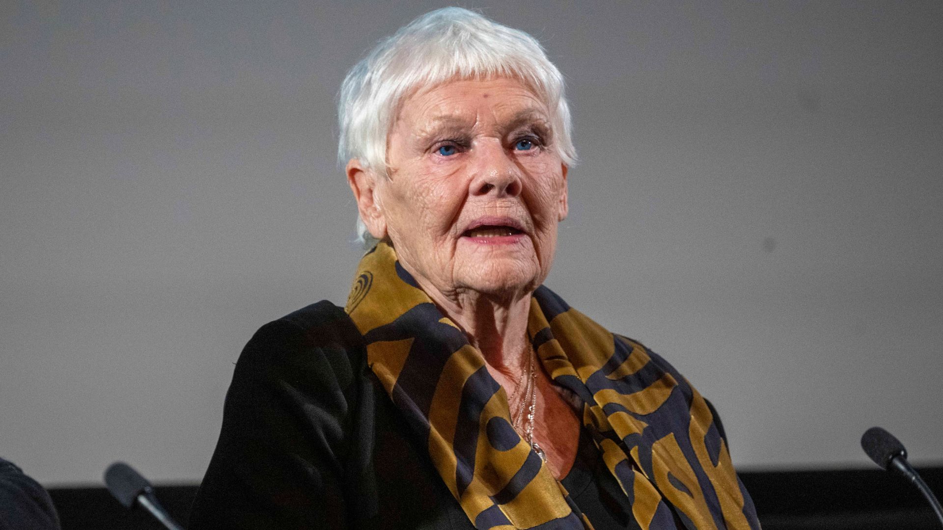 Judi Dench (Foto: Stuart C. Wilson/Getty Images for BFI)