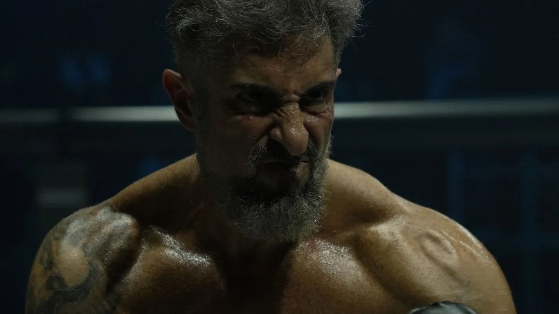 ‘Shape’ de Marcos Mion em MMA - Meu Melhor Amigo impressionou Sylvester Stallone: ‘Inspirado em Rocky Balboa’