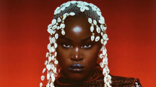 Pongo (Foto: Divulgação)