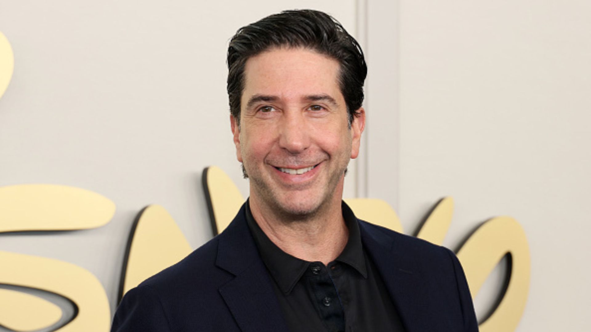 David Schwimmer