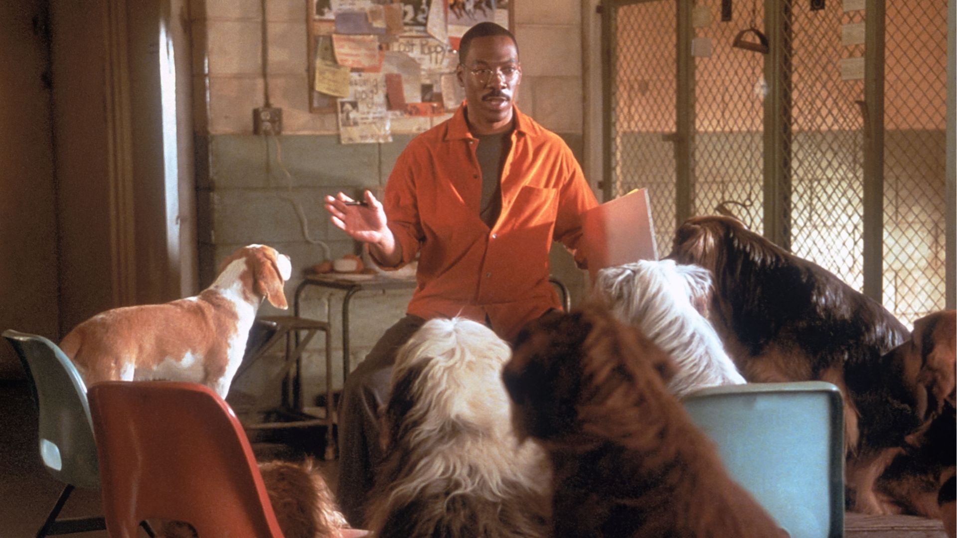 Dr. Dolittle 2 | Imagem: Reprodução