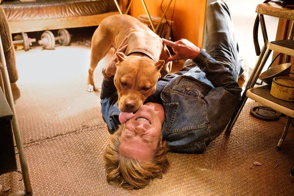 Brandy e Brad Pitt no set de Era uma vez... em Hollywood (Foto: Reprodução)