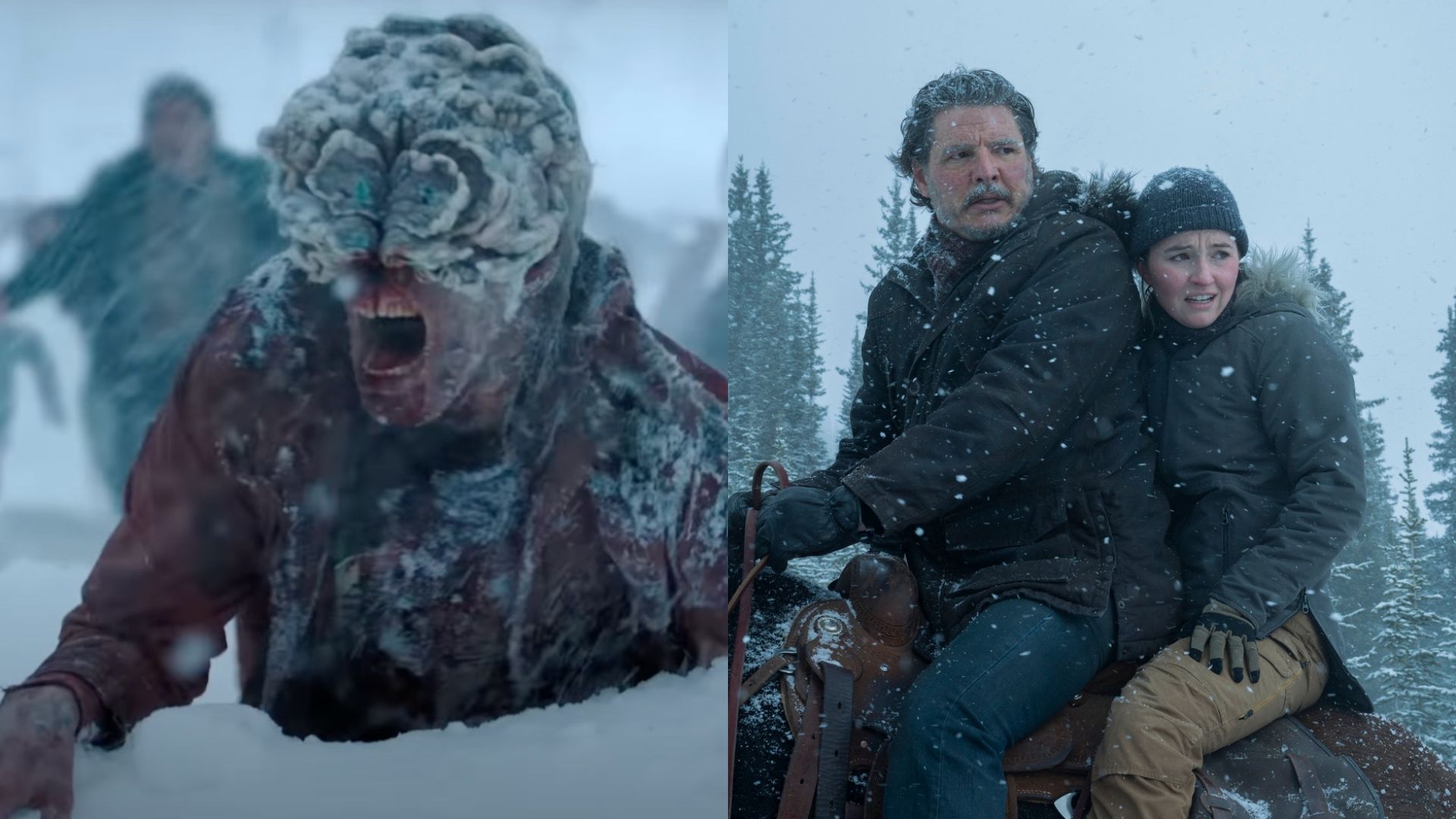 Cenas da segunda temporada de The Last of Us