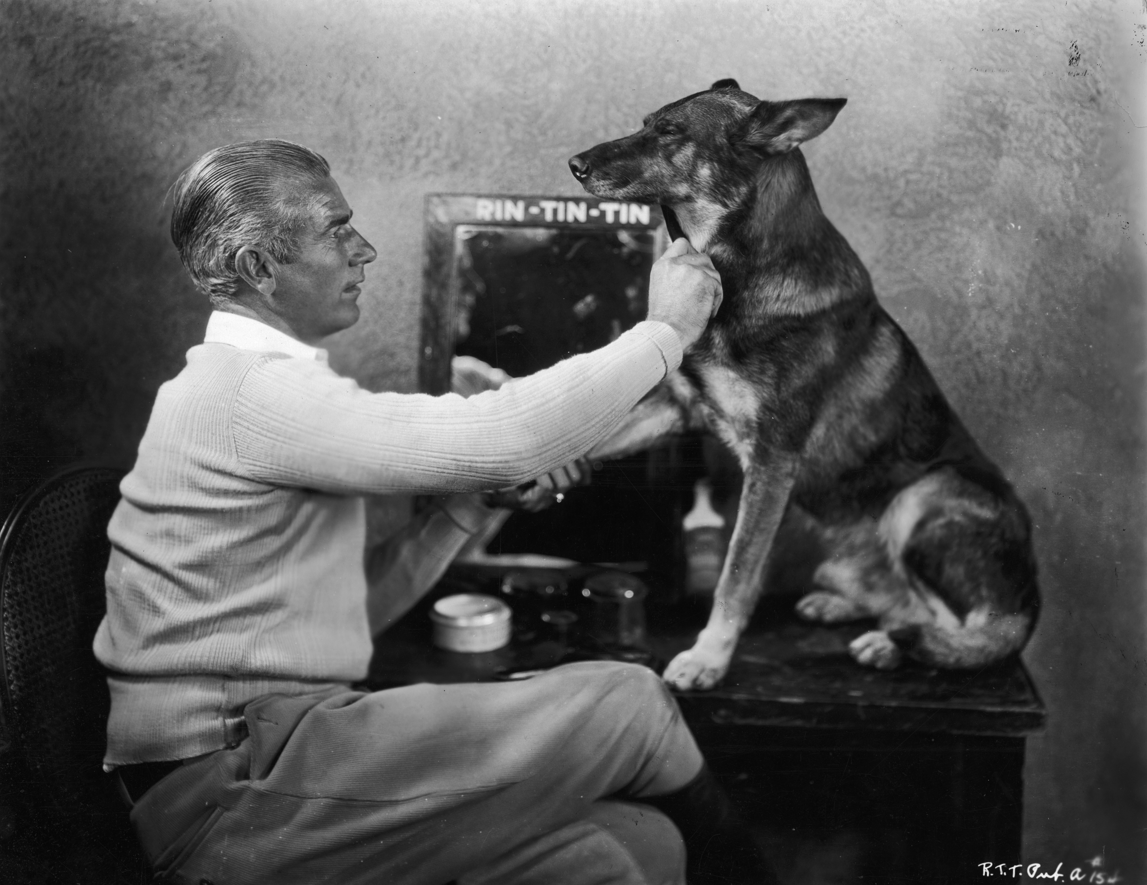 Rin Tin Tin (Foto: Hulton Archive/Getty Images)