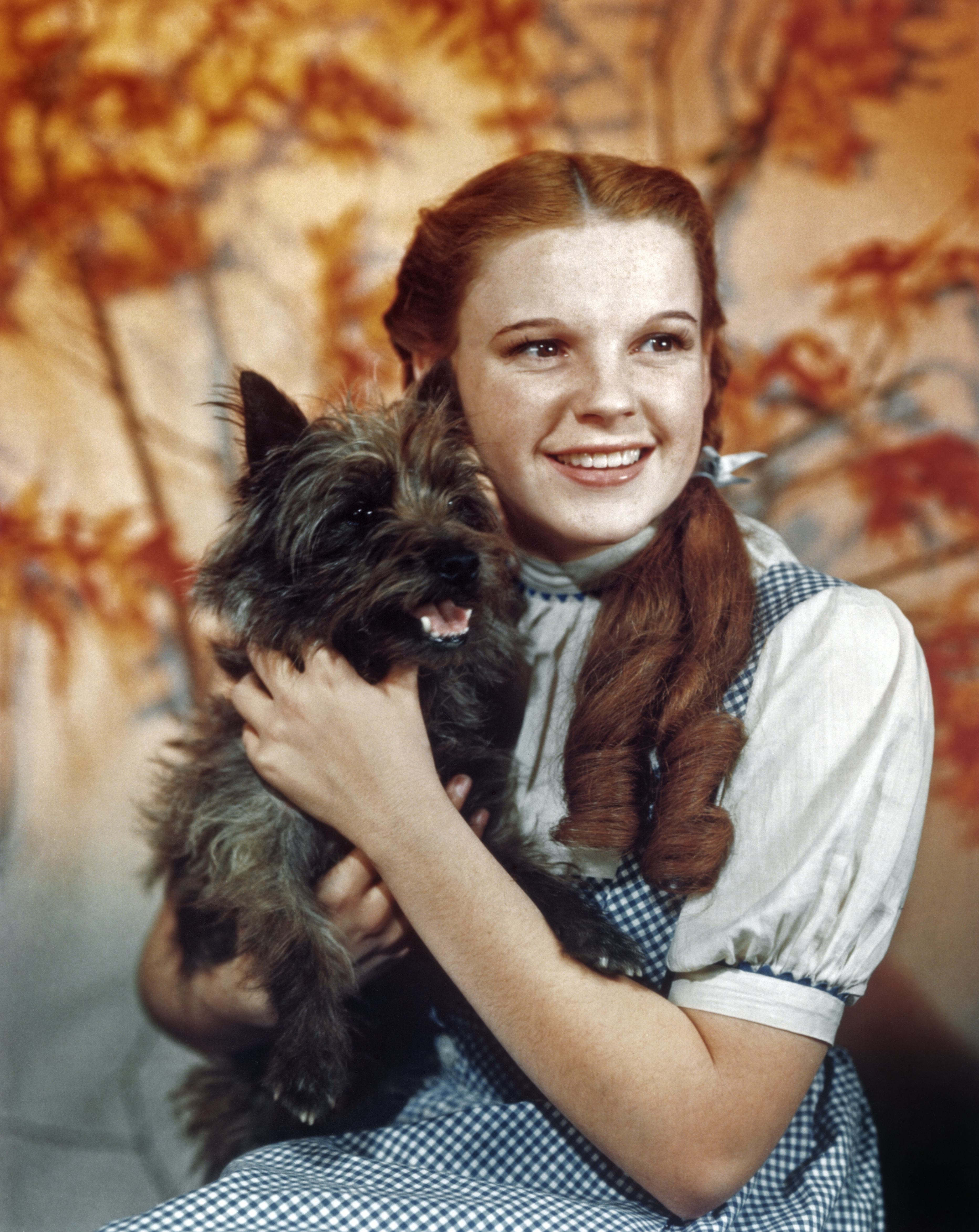 Terry e Judy Garland, que interpretam Totó e Dorothy (Foto: Herbert Dorfman/Corbis via Getty Images)
