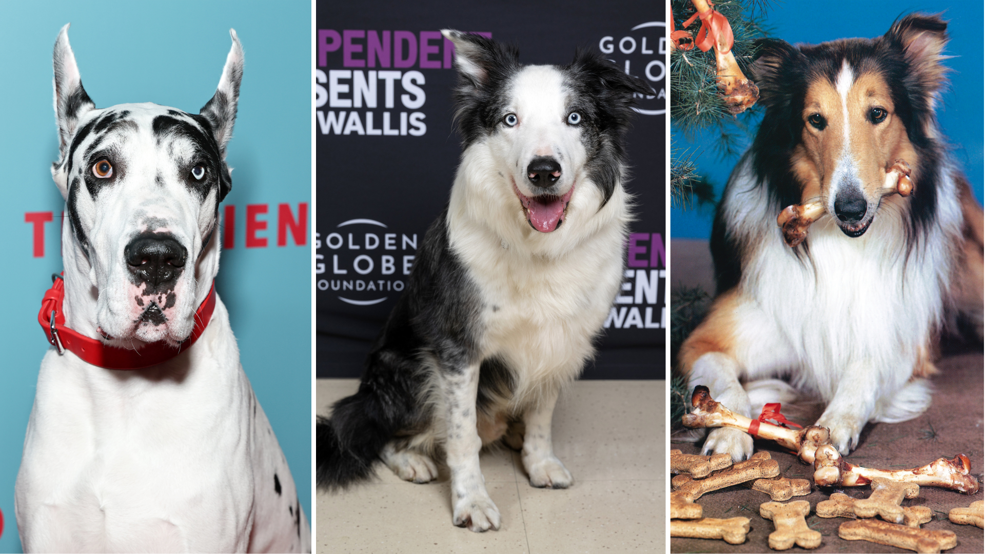 Bing, Messi e Pal (Foto: Jamie McCarthy/Getty Images, Amanda Edwards/Getty Images e Silver Screen Collection/Hulton Archive/Getty Images)