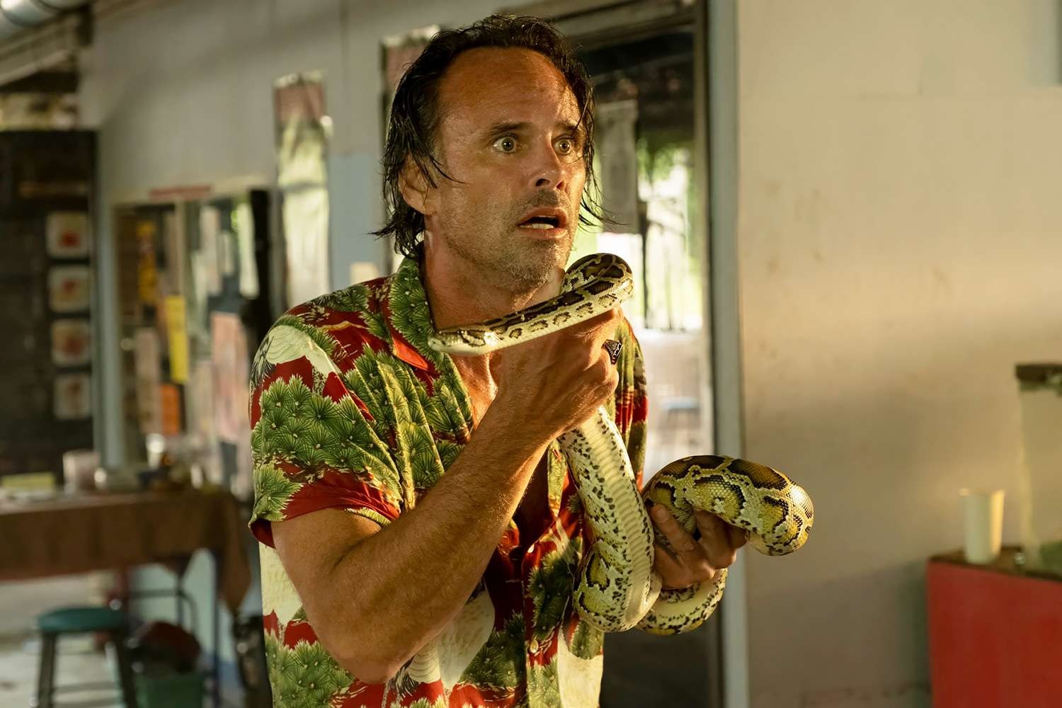 Walton Goggins como Rick Hatchett em The White Lotus